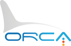Orca