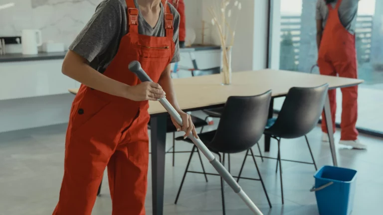 Organisation du nettoyage de bureaux : quelle fréquence choisir selon vos locaux ?